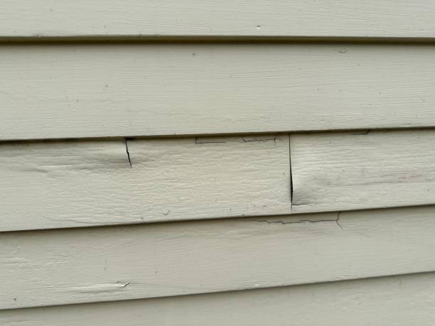 Trusted Ramapo College Of New Jersey, NJ Siding Installation & Repair Experts